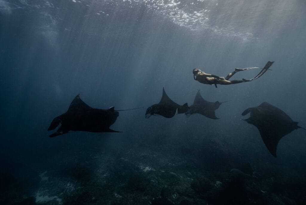 diving Nusa Penida with manta rays and coral reefs